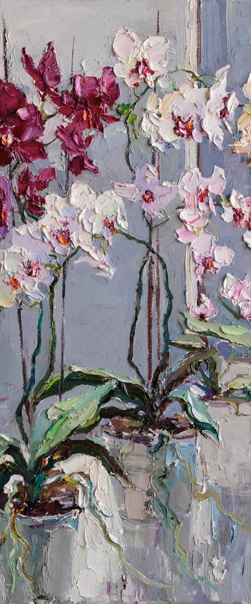 Blooming Colorful Orchids by Anastasiia Valiulina