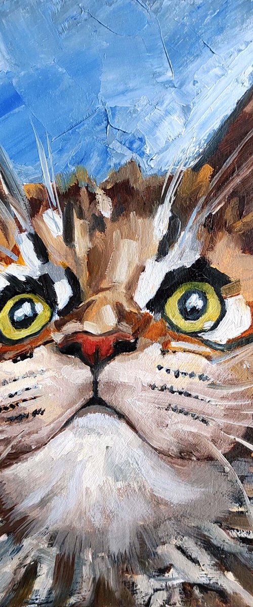 Cat Oil Painting Maine Coon Original Art Meme Pet Artwork Tabby Cat Portrait by Yulia Berseneva