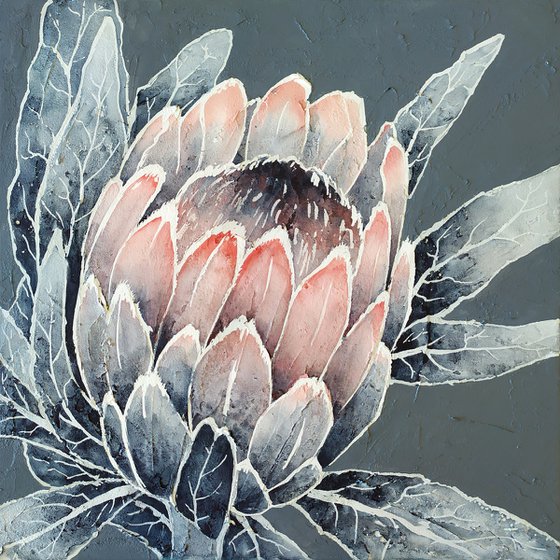 MONOCHROME PROTEA