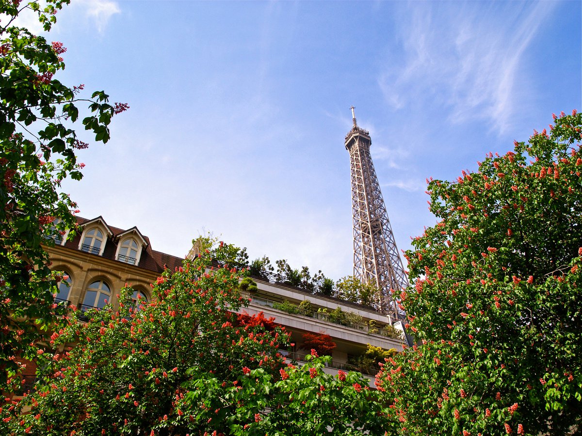 La Tour Eiffel au printemps by Alex Cassels