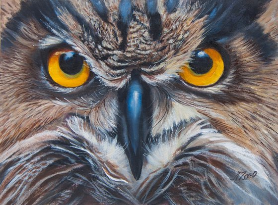 "Owl's Gaze — Golden Eyes That Hypnotize"