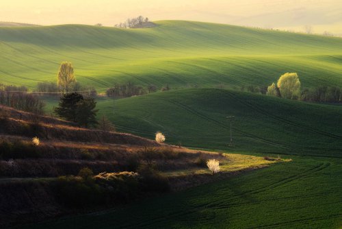 Spring in Moravia by Janek Sedlar