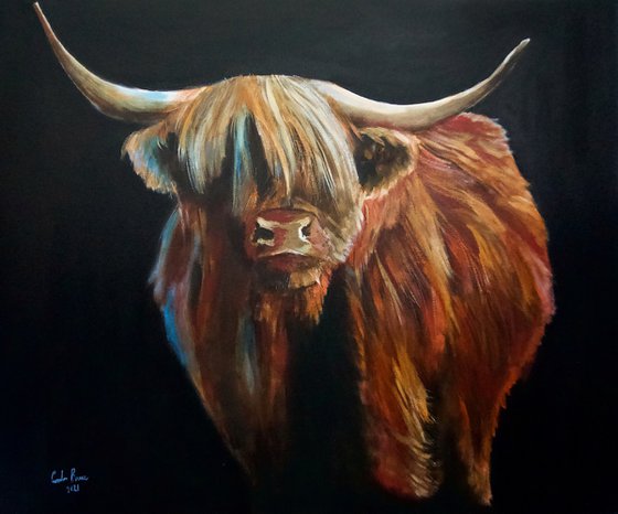 Highland cow oil painting