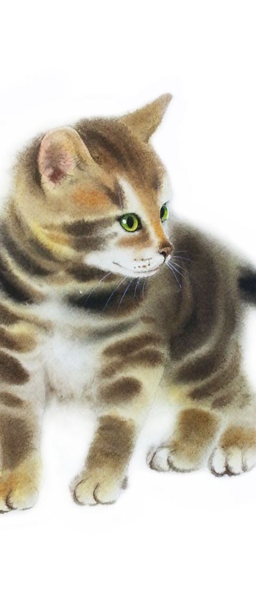 Fluffy Tabby Kitten #1 - Tabby by Olga Beliaeva Watercolour