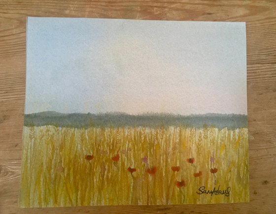 Cornfields, poppies of Summer