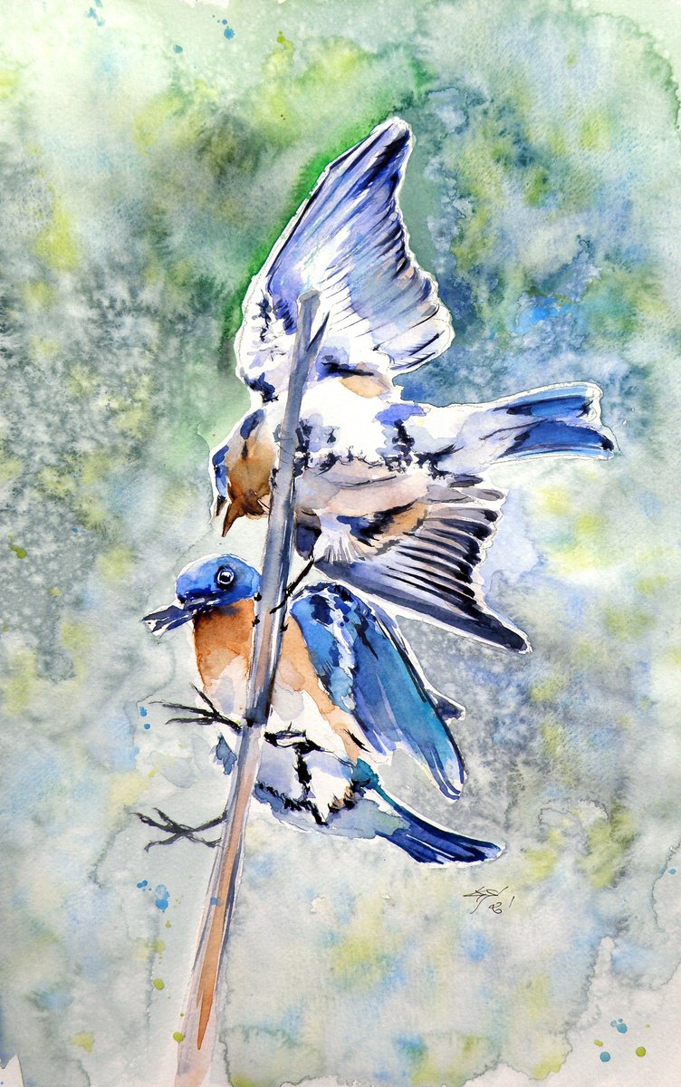 Impressionistic Animal Watercolour By Kovacs Anna Brigitta, 10 X 15", Birds Fighting, Original Artwork