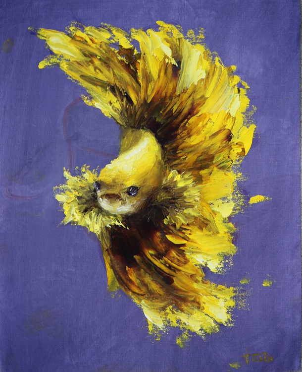 Yellow Betta Fish Oil Painting By Heather Olsen Artfinder