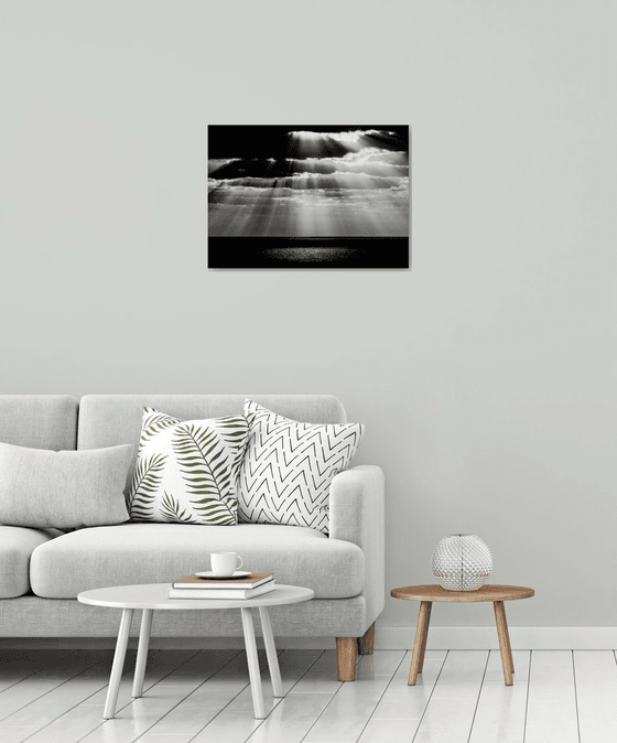 Spot | Limited Edition Fine Art Print 1 of 10 | 60 x 40 cm