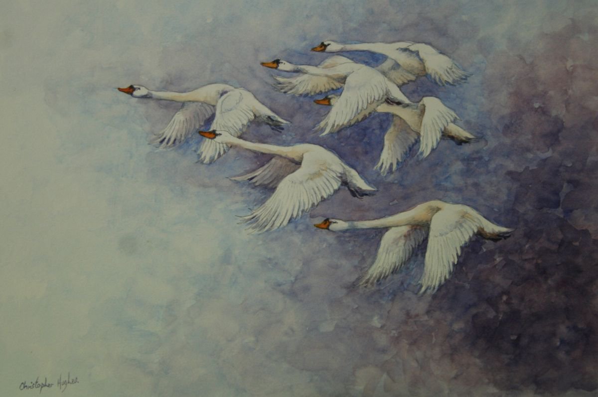 Flight of the Swans by Christopher Hughes