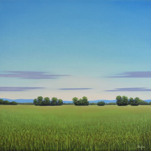 Peaceful View - Blue Sky Landscape by Suzanne Vaughan