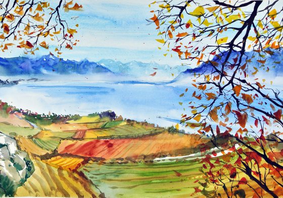 Autumn in Lavaux