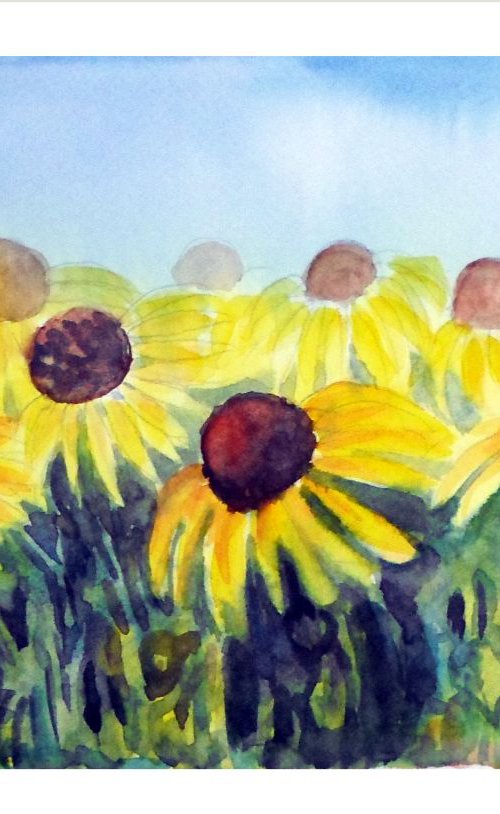 The Yellow Coneflowers of  Spring by Asha Shenoy