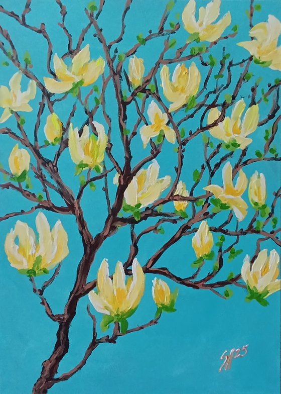 Yellow Magnolia