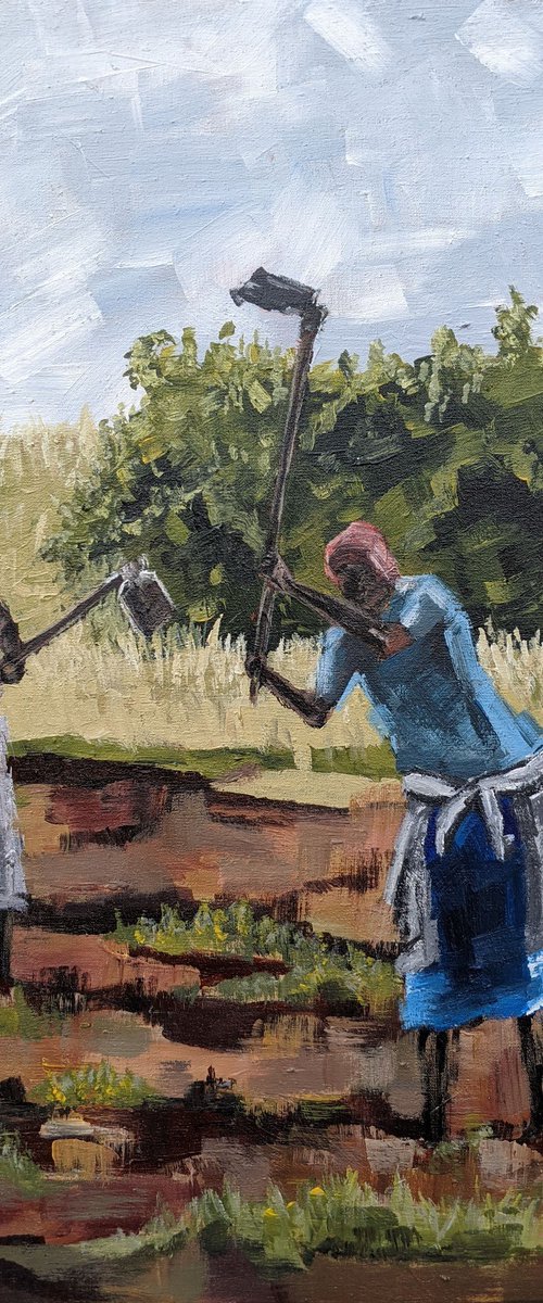 HINGA AMASAKA (GROW SORGHUM) by BUGINGO Noah