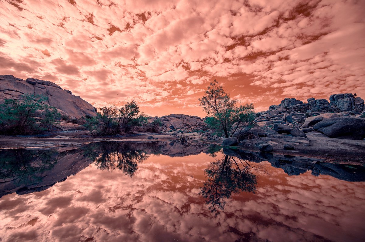 Desert Reflections by Mark Hannah