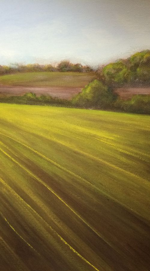 Chiltern Hills by Clare Hoath