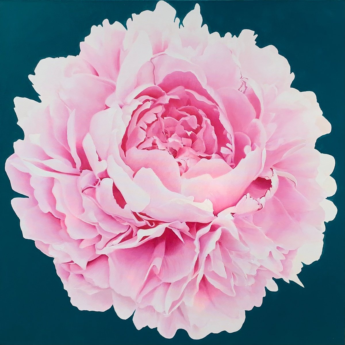 Photorealistic Botanical Oil Painting By Alla Kallass, 36 X 36, Concordia. Pink Peony, Original Artwork