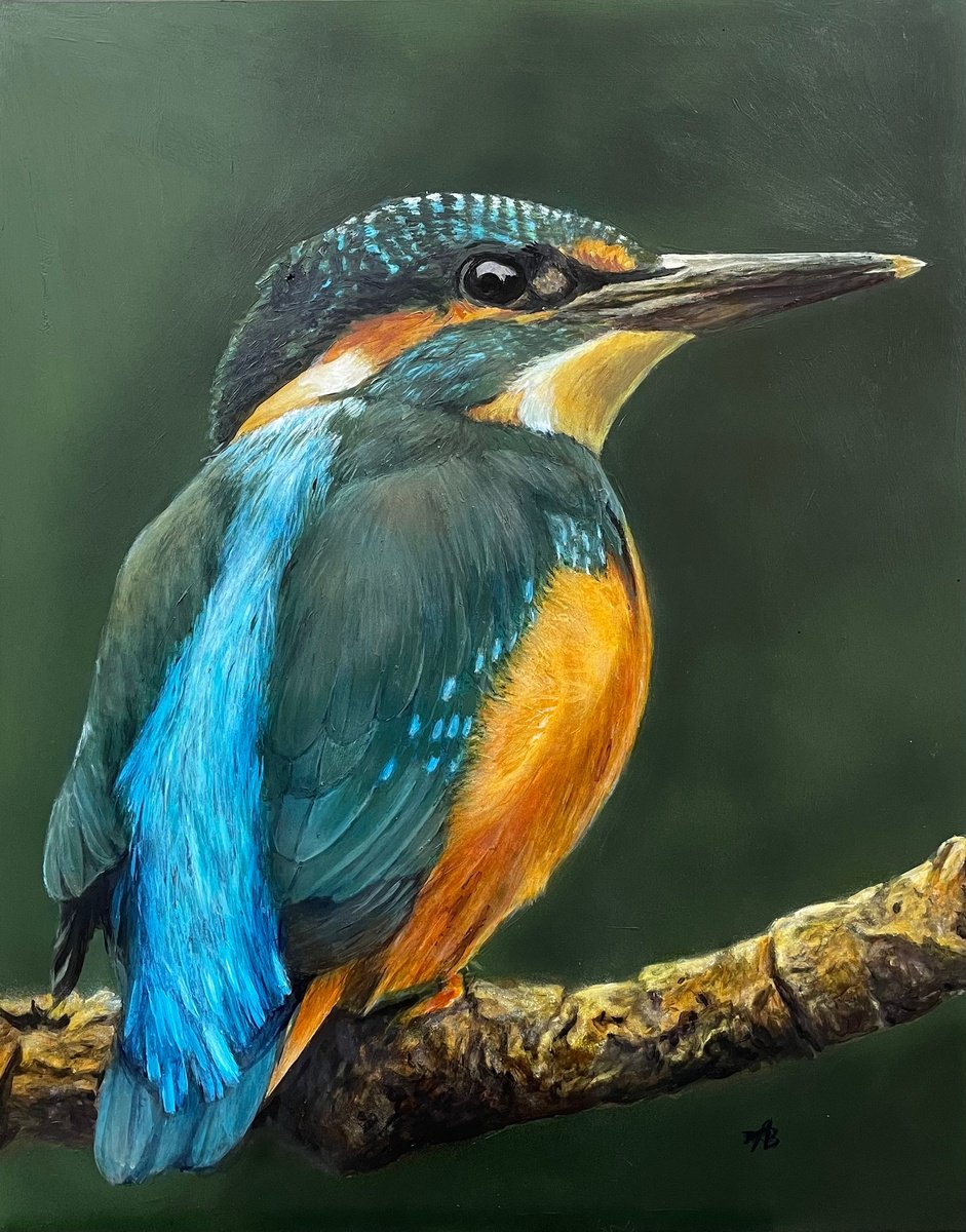 Kingfisher by Maria Arias