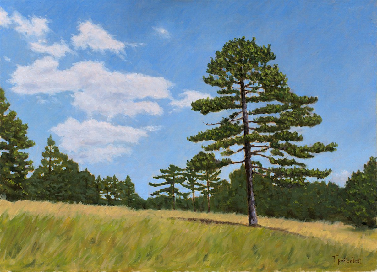 Impressionistic Landscape Oil Painting By Dejan Trajkovic, 22 X 16, Alone, Original Artwork