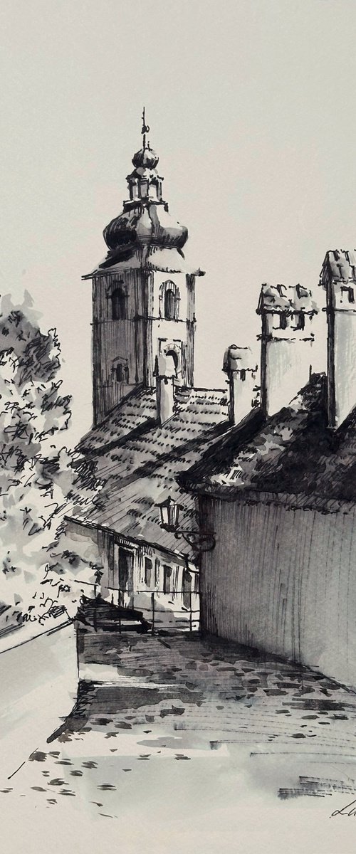 Ptuj view by Yuliia Ludanova