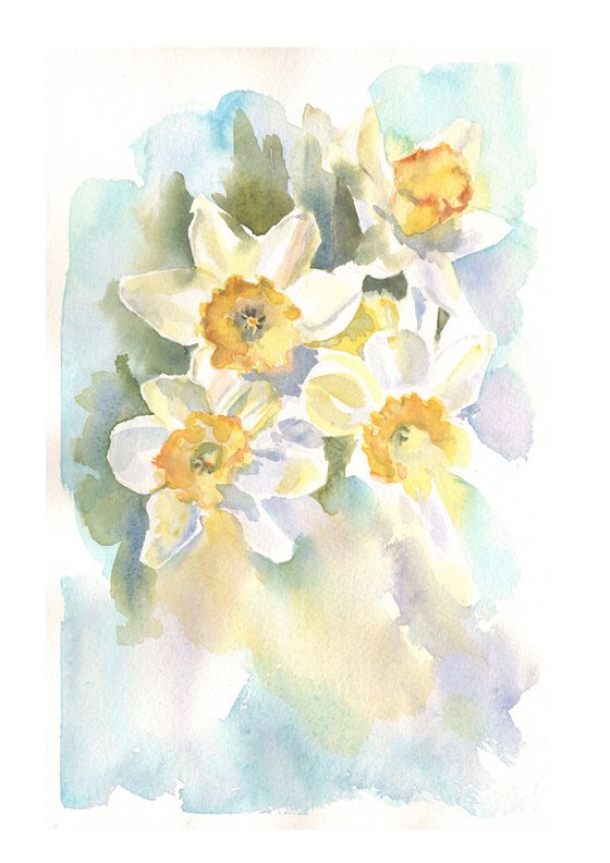 Daffodils in the Sun