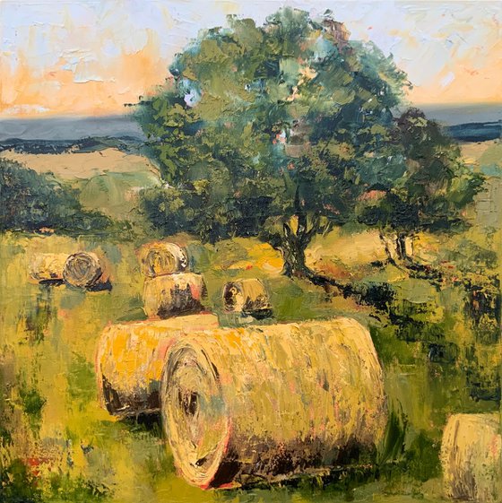 Harvest Light in Yorkshire