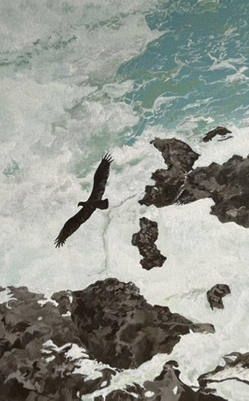 “Freedom” Bird Soaring by Anne Shaughnessy