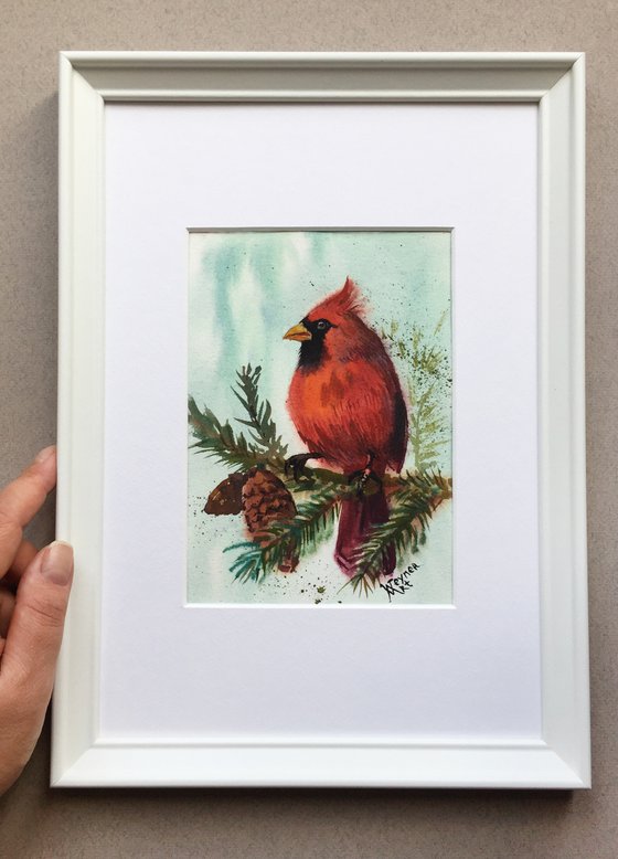 Red cardinal. Red bird art