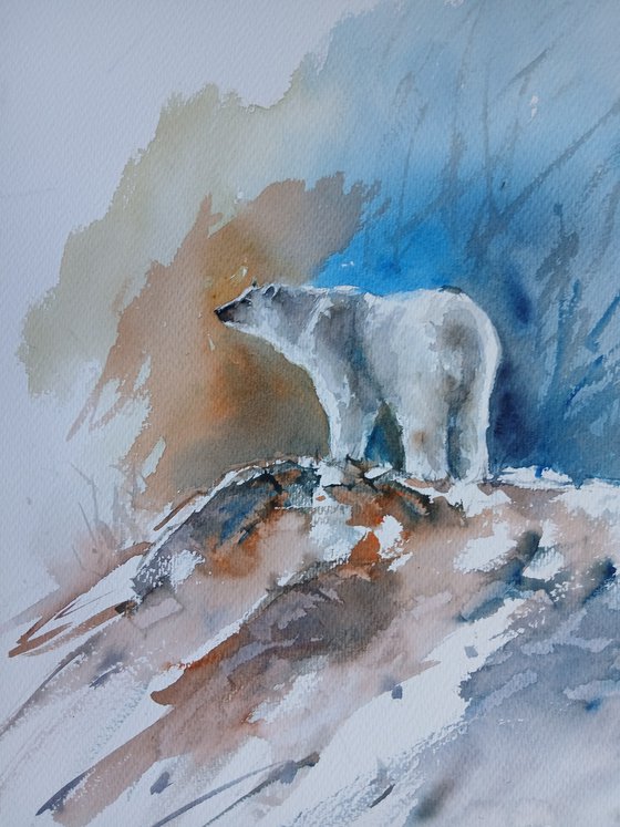 bear 3