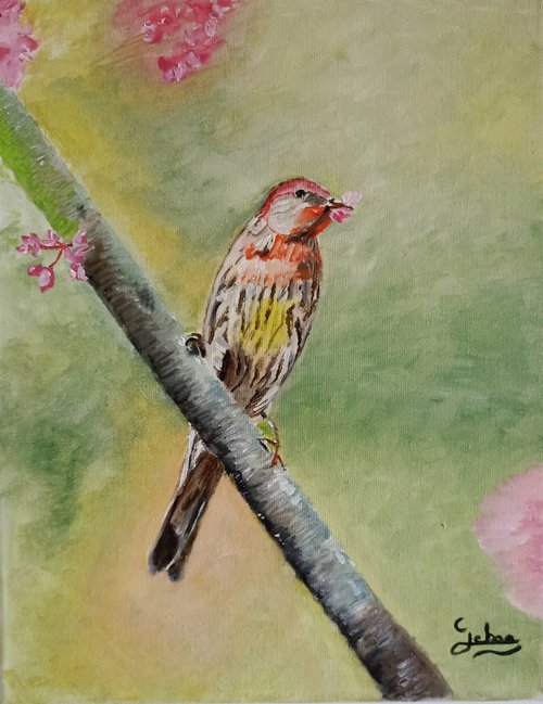 Exotic bird on a flowering tree by Isabelle Lucas