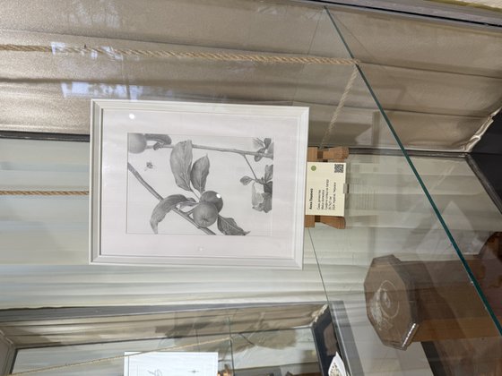 The Taste of Childhood