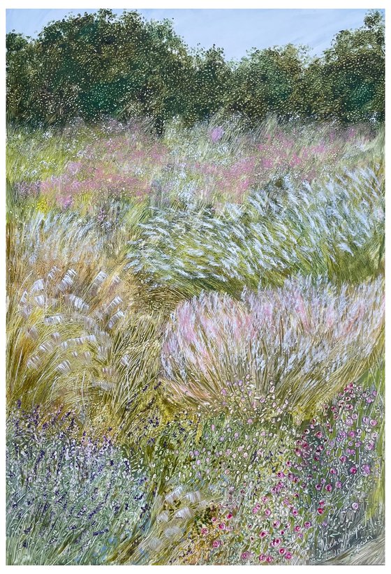 Ornamental grasses in the garden