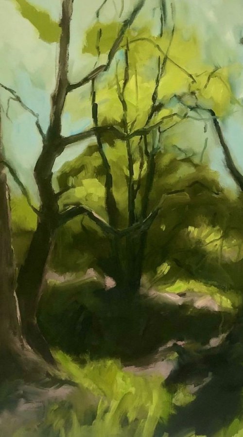 A Glimmer of Spring by Joanna Farrow