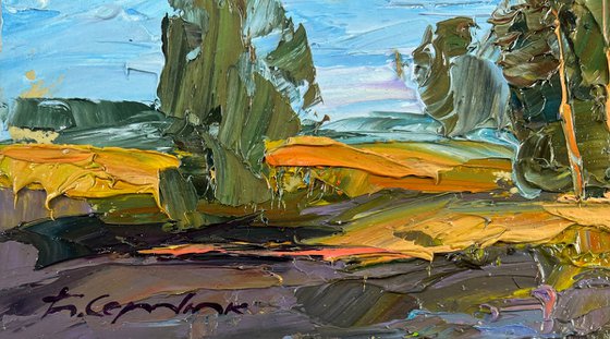 A Day Filled with Sunshine