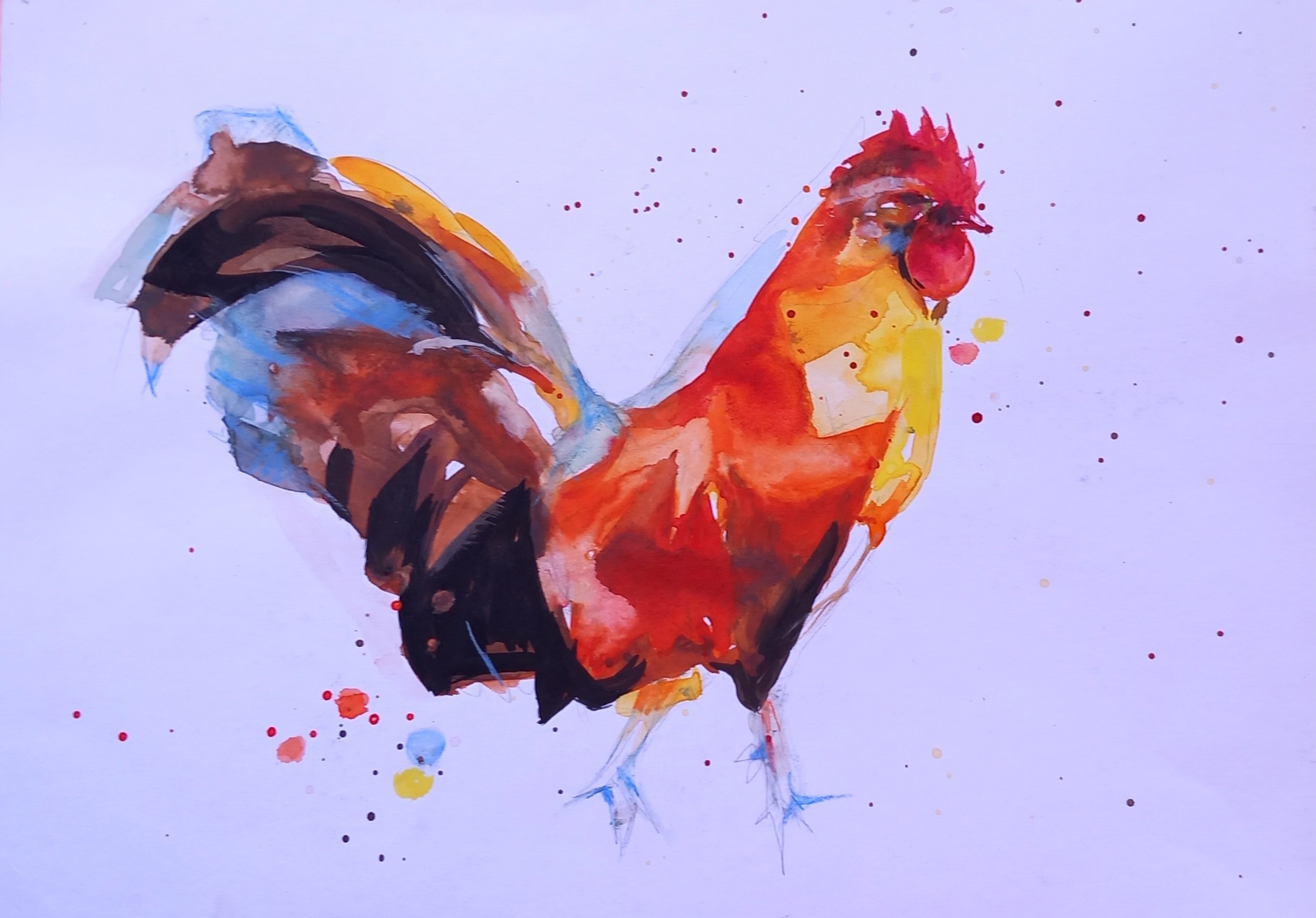  Rooster 3 By Boro Ivetic, 17 X 12, Artwork For Sale On Artfinder