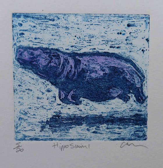 Hippo Swim 1