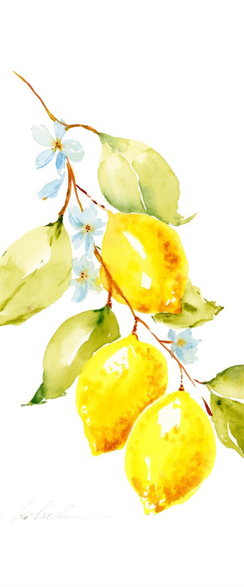 Lemon branch watercolor by Olga Koelsch