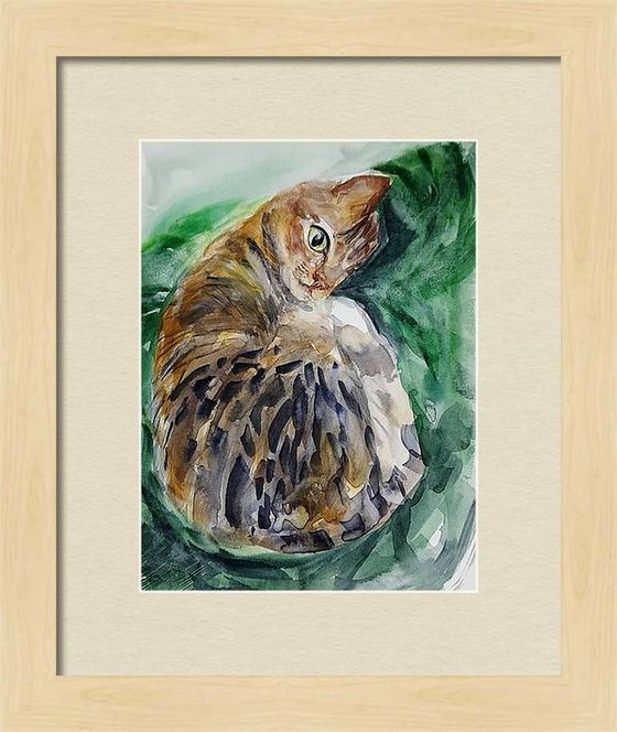 Kumuda, TheTabby Cat 2