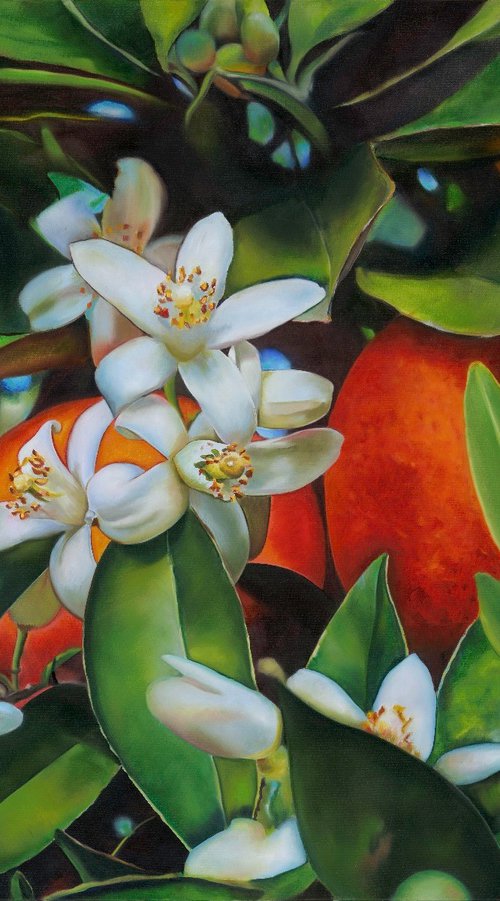 Narszi by Szilvia Németh