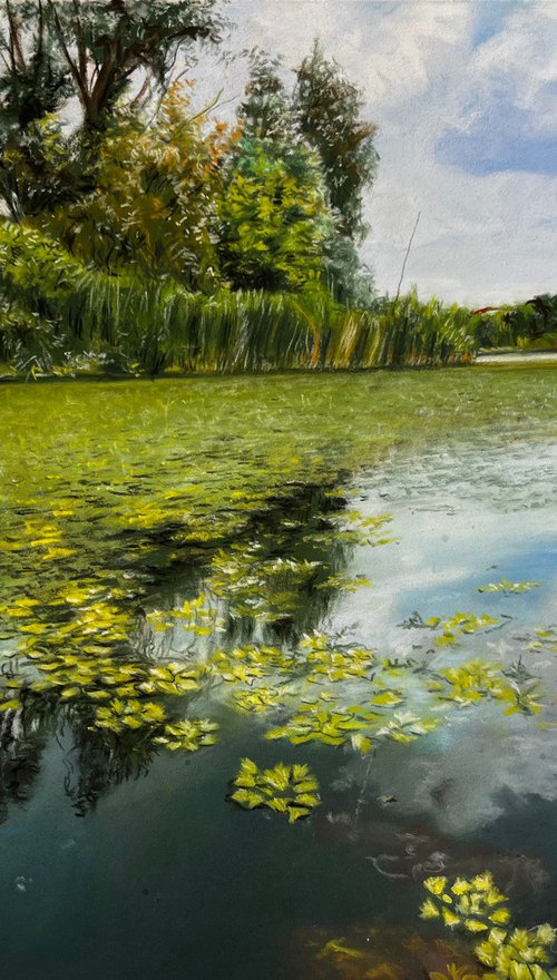 Water Lilies and Cloud Reflections by Angelo Di Carlo