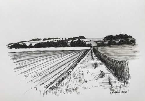 Norfolk Farm Track - Traditional Landscape Drawing Pen Ink by Catherine Winget