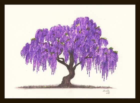 Wisteria Tree