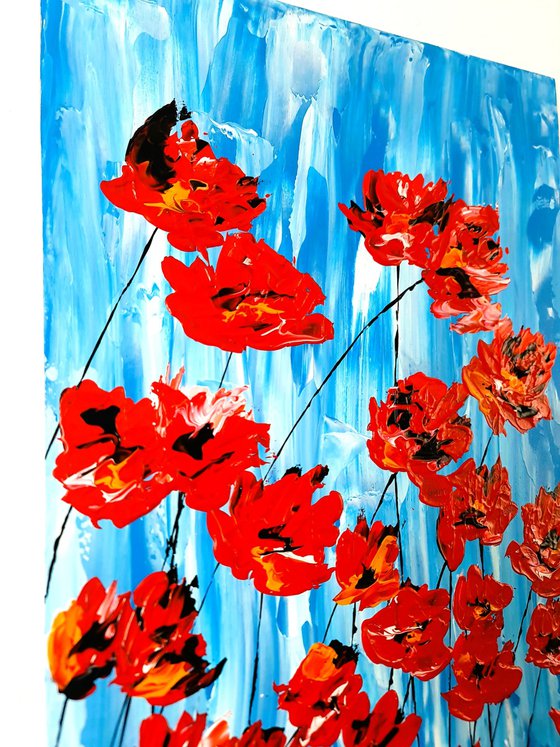 Poppies On Blue