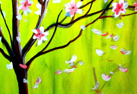 Magnolia Spring