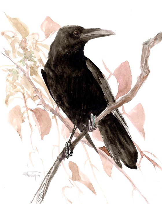 Raven on The Tree