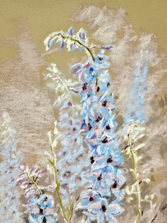 Blue Flowers