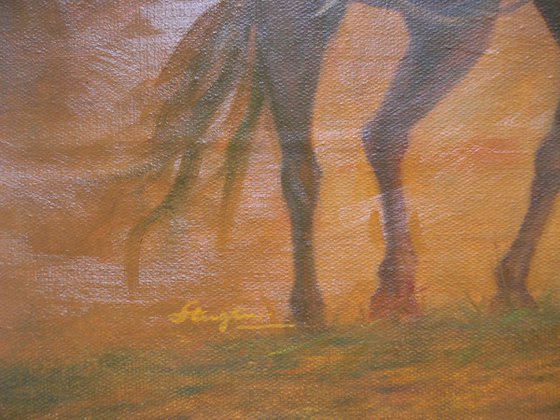 OIL PAINTING NUDE ART MALE NUDE AND HORSE AT SUNSET#16-8-7