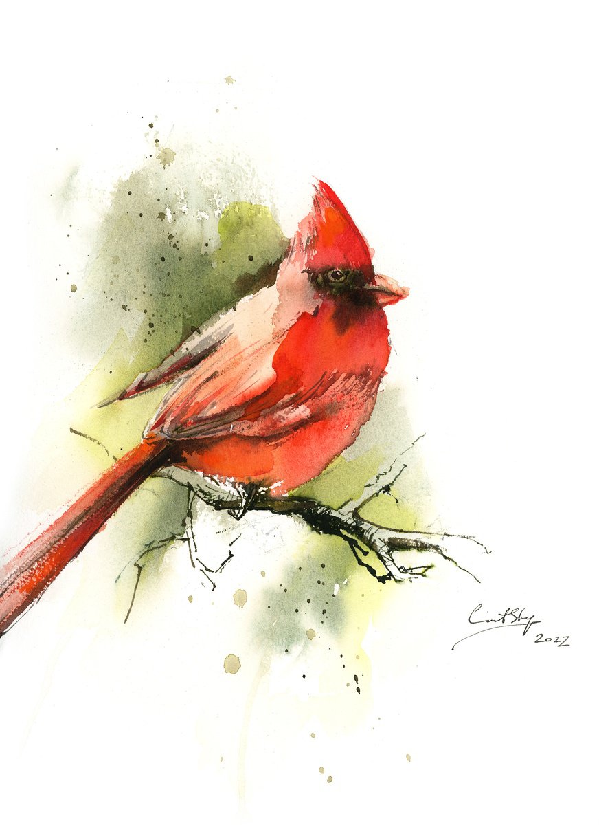 Impressionistic Animal Watercolour By Sophie Rodionov, 9 X 12", Northern Cardinal Bird, Original Artwork
