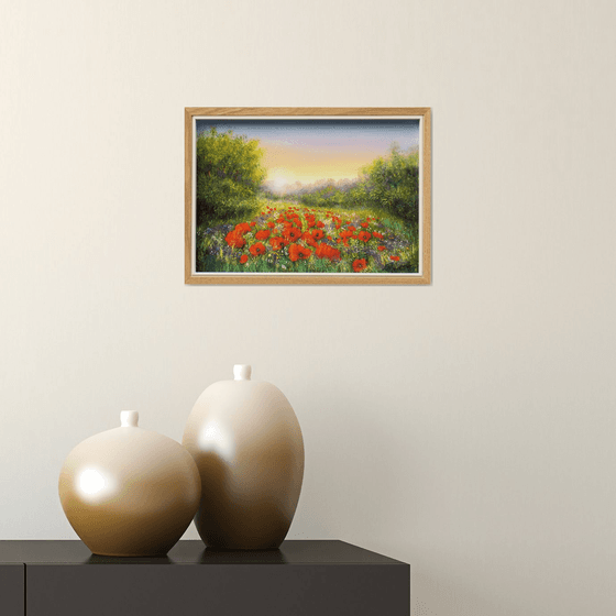 Sunset on the poppy field