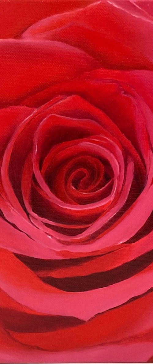 True Love. Rose by Alla Kallass
